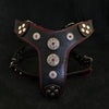 Premium Pet Guardian Gear: The ''Bijou'' harness Black & Red Small to Medium Size - Sanctum Paws and Fangs