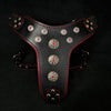 Premium Pet Guardian Gear: 'Bijou'' harness Black & Red for big dogs - Sanctum Paws and Fangs