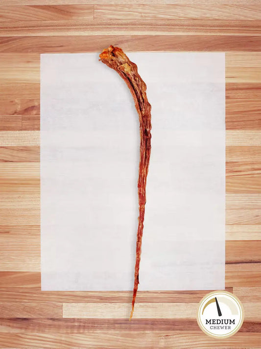 Beef Tail