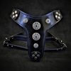 Premium Pet Guardian Gear: The ''Bijou'' harness Black & Blue Small to Medium Size - Sanctum Paws and Fangs