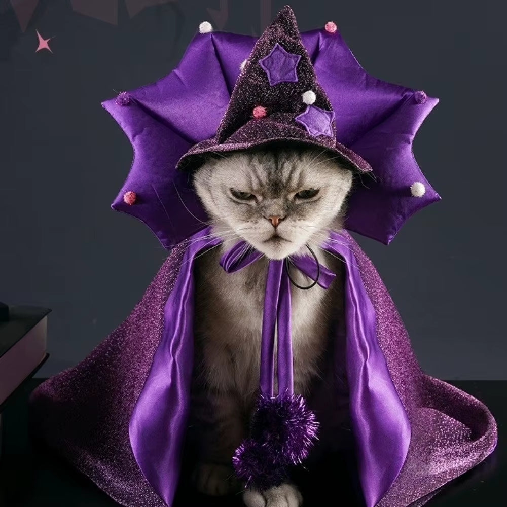 Adorable Purple Witch Cloak & Hat for Your Furry Friend's Halloween Fun! 🐾🎃✨ #PetCostume #HalloweenPawty