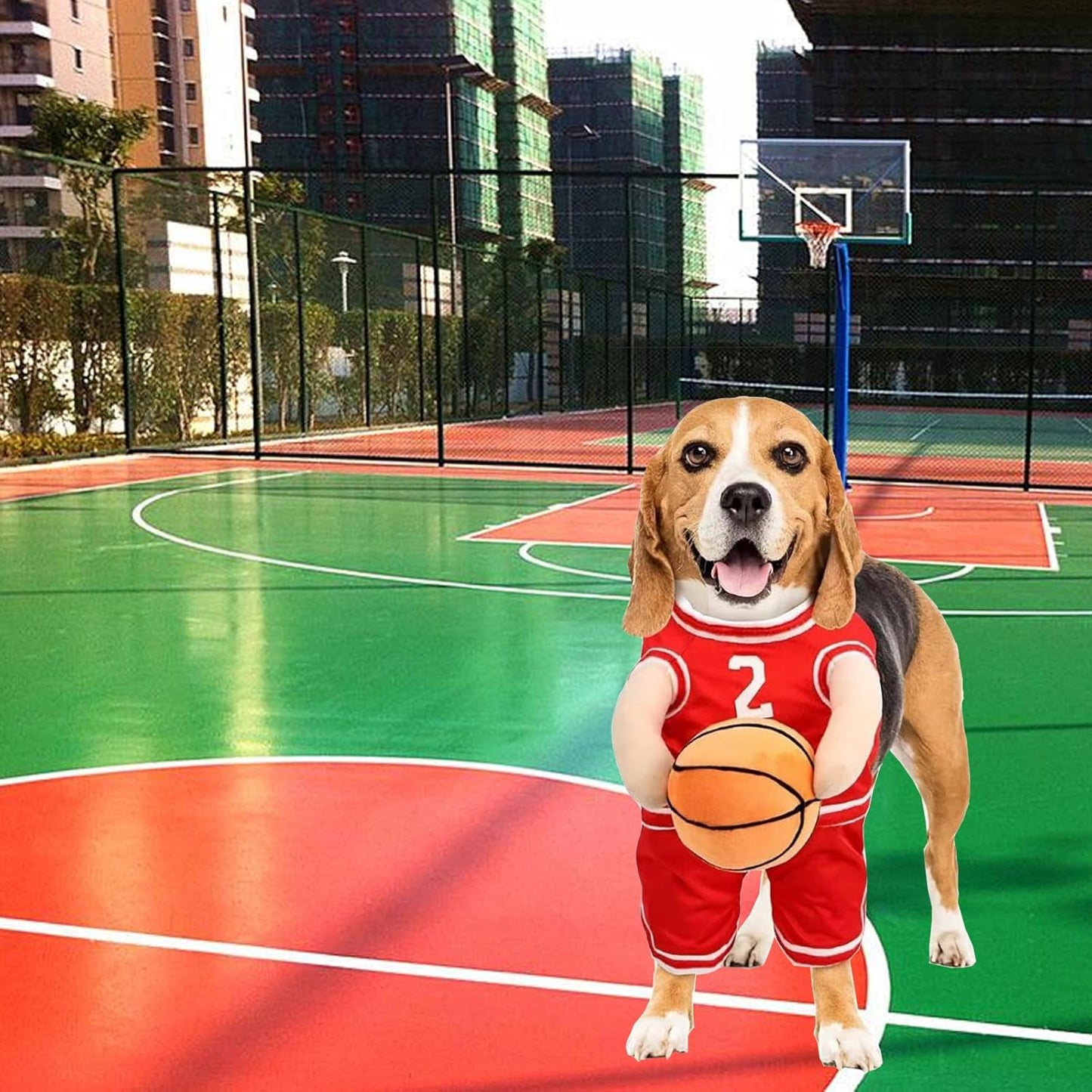 Get Your Pup in the Game with This Adorable Dog Basketball Player Costume! Perfect for Halloween and Playful Dress-Up! 🏀🐶✨