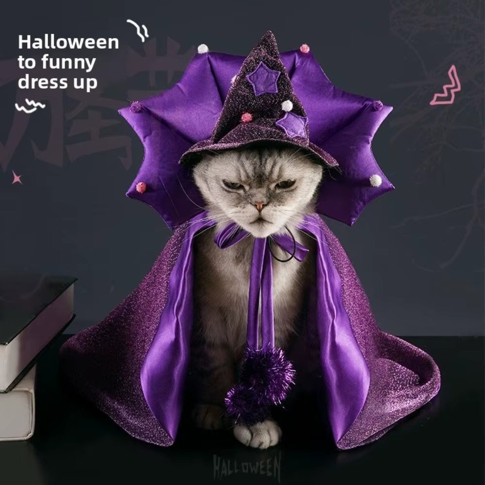 Adorable Purple Witch Cloak & Hat for Your Furry Friend's Halloween Fun! 🐾🎃✨ #PetCostume #HalloweenPawty