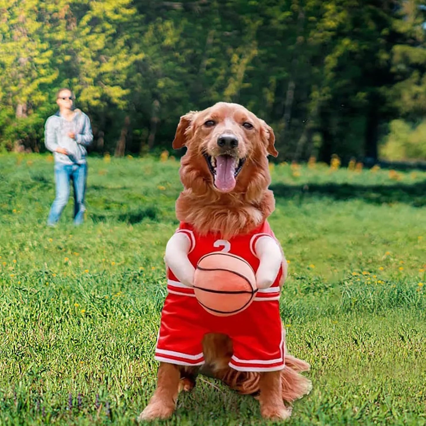 Get Your Pup in the Game with This Adorable Dog Basketball Player Costume! Perfect for Halloween and Playful Dress-Up! 🏀🐶✨