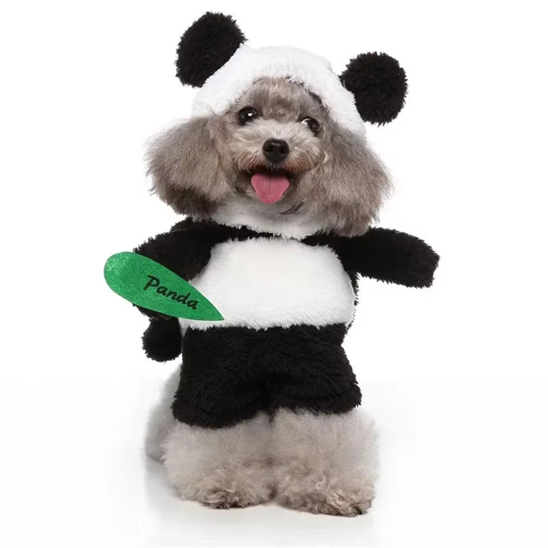 Get Your Pup Ready for Halloween with These Hilarious Dog Costumes! Perfect for Parties and Pet Festivals! 🎃🐶✨