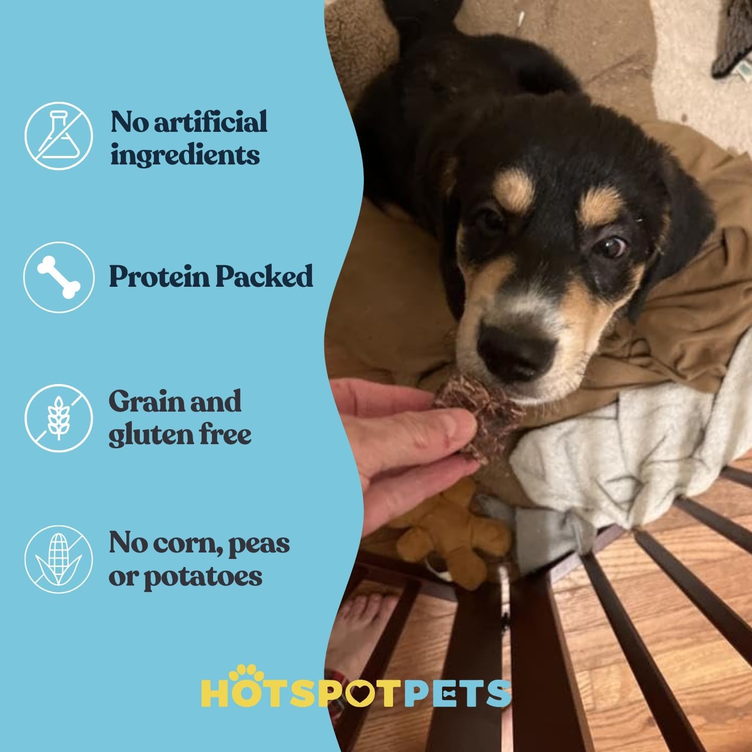 Beef Lung Dog Treats -1 Pound Big Bag - Slow Roasted, All Natural Dehydrated Premium Beef Lung Training Treats for Dogs - High Protein- Rawhide Alternative Snack for All Breeds