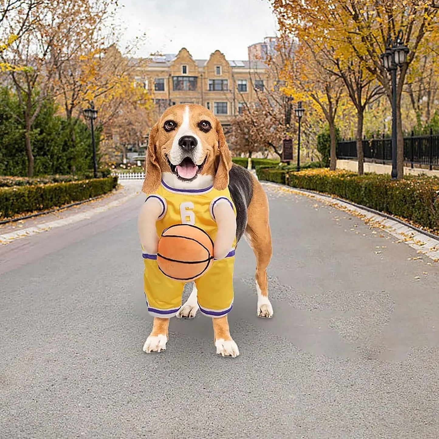Get Your Pup in the Game with This Adorable Dog Basketball Player Costume! Perfect for Halloween and Playful Dress-Up! 🏀🐶✨
