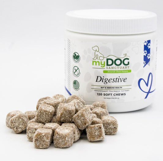Jar of myDOG SANCTUARY digestive soft chews for dogs on a white background