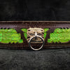 Premium Pet Guardian Gear: The ''Venom'' collar - Sanctum Paws and Fangs