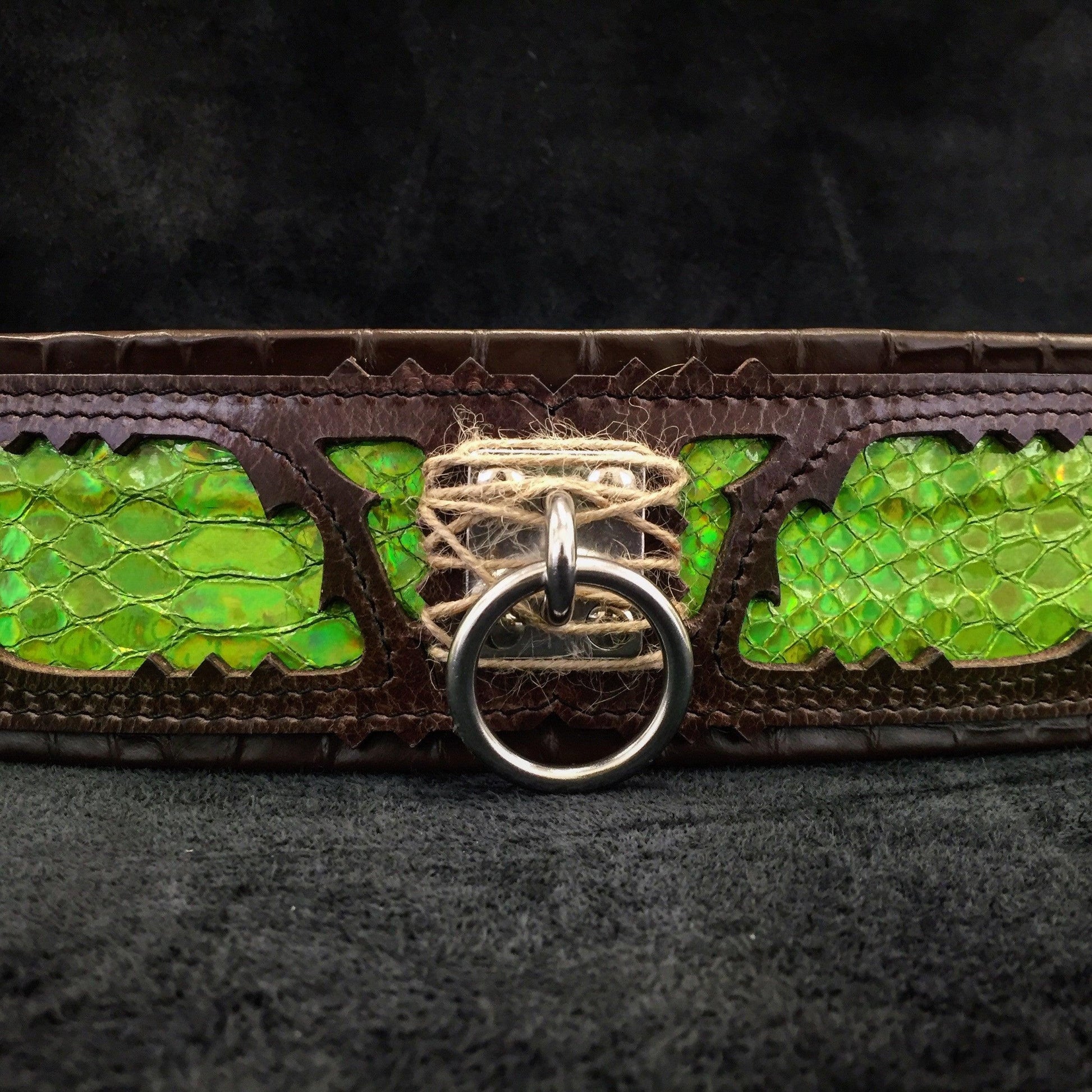 Premium Pet Guardian Gear: The ''Venom'' collar - Sanctum Paws and Fangs