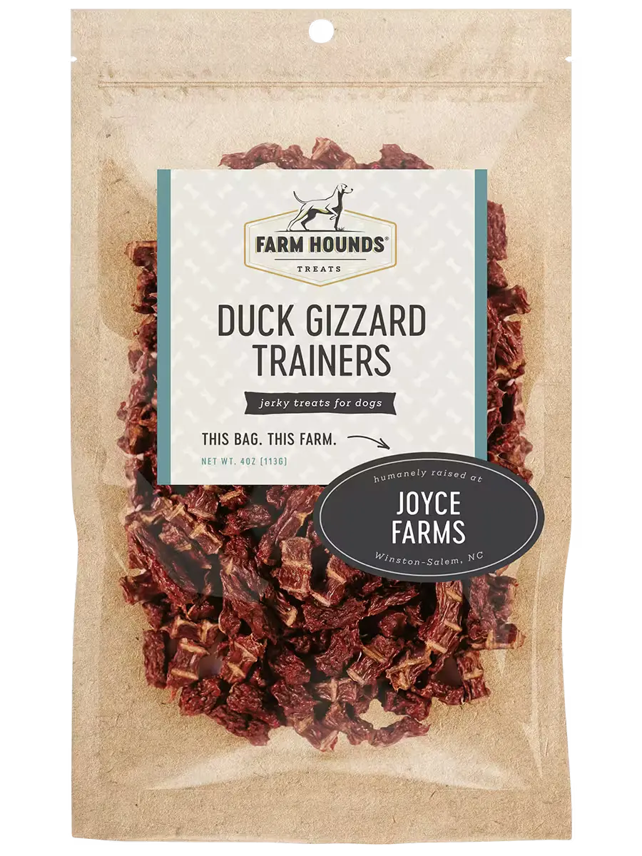 Duck Gizzard Trainers