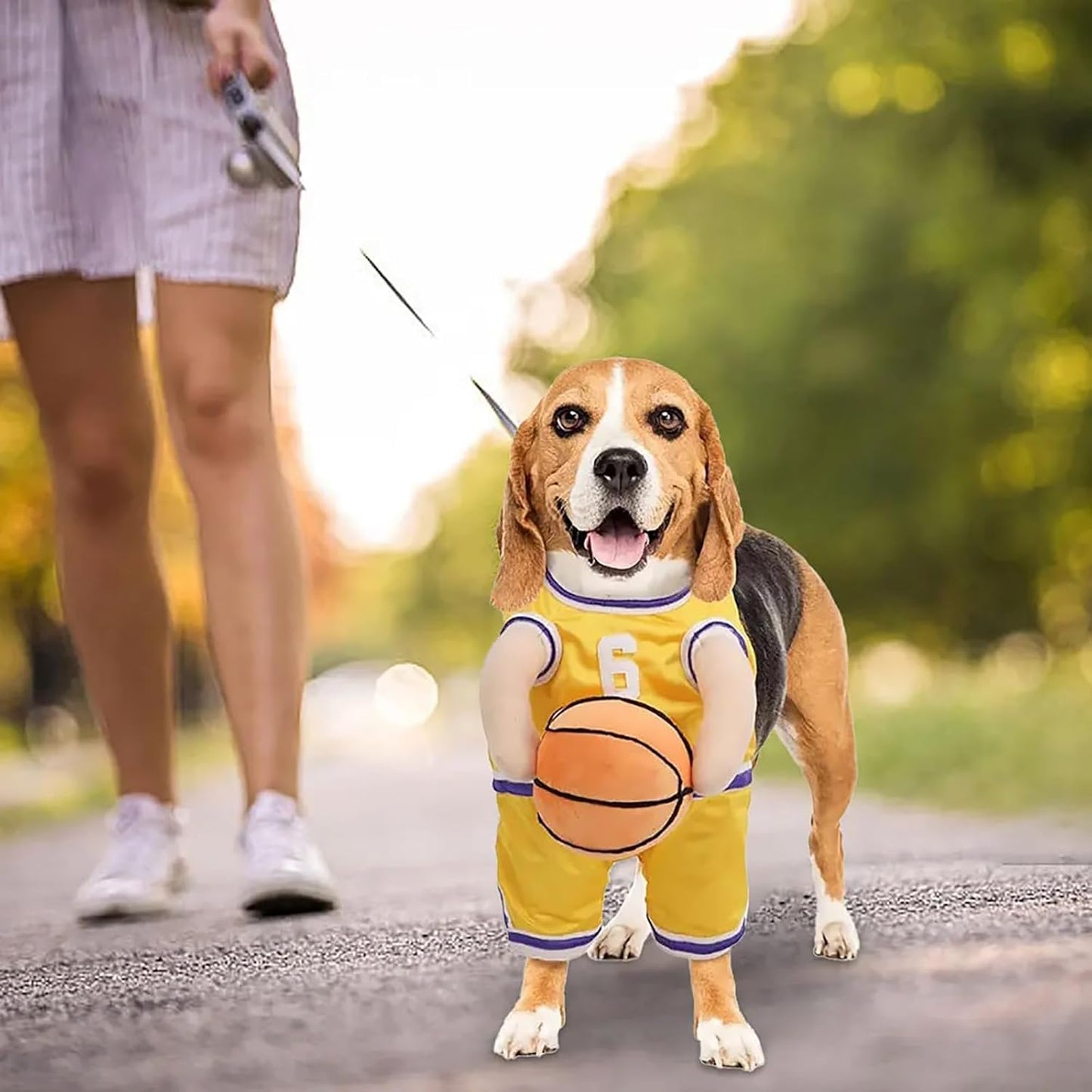 Get Your Pup in the Game with This Adorable Dog Basketball Player Costume! Perfect for Halloween and Playful Dress-Up! 🏀🐶✨