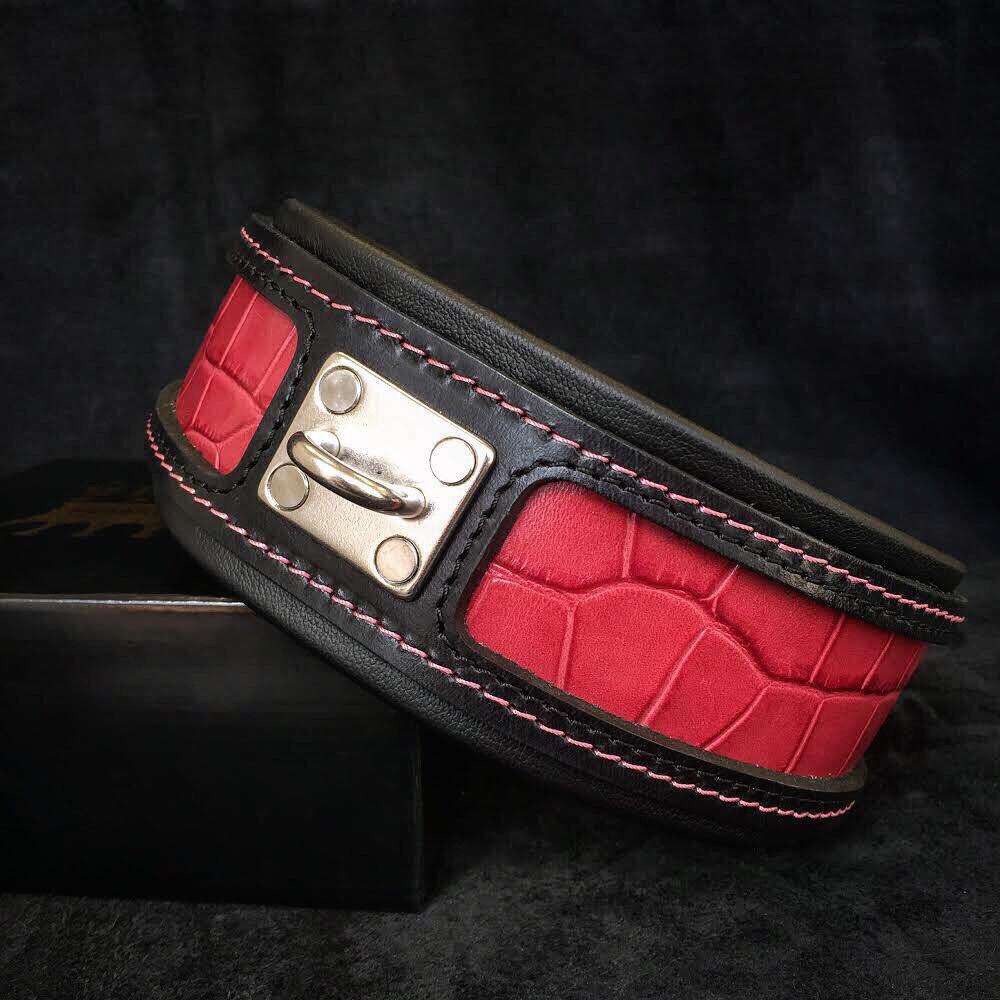 Premium Pet Guardian Gear: The "Reptile" collar - Sanctum Paws and Fangs