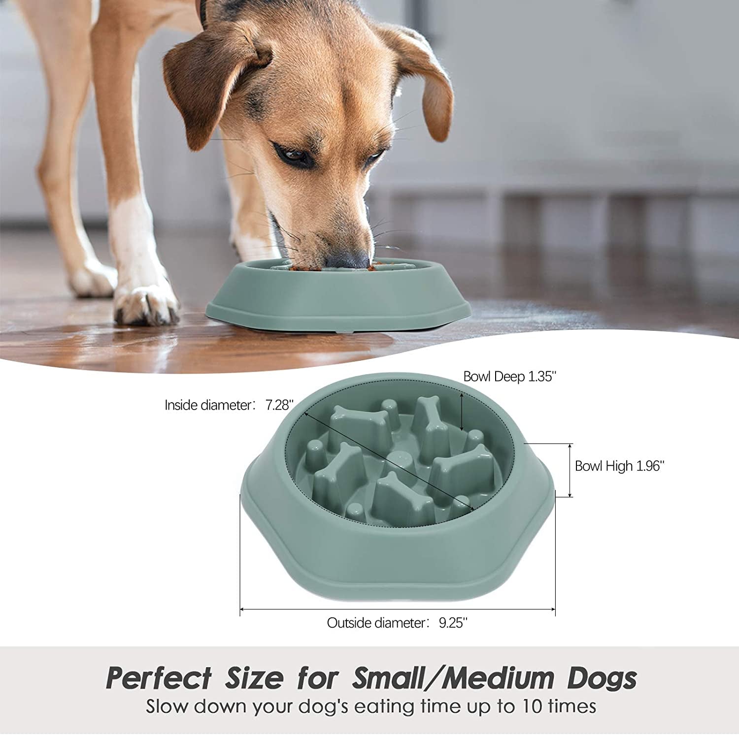 Interactive Slow Feeder Dog Bowl - Anti-Choking Puzzle Bowl for Healthy Eating, Green, 1.5 Cups/12 Oz