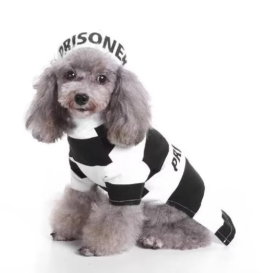 Unleash Your Pet's Inner Rebel with This Adorable Prisoner Costume! 🐾🚔