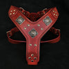Premium Pet Guardian Gear: The "Eros" harness RED - Sanctum Paws and Fangs