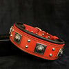 Premium Pet Guardian Gear: The "Eros" collar 2.5 inch wide RED - Sanctum Paws and Fangs