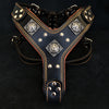 Premium Pet Guardian Gear: The "Eros" harness Black & Orange - Sanctum Paws and Fangs