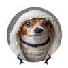Curated Ethical Lifestyle: The Warriors of the Barkside Collection - Sanctum Paws and Fangs