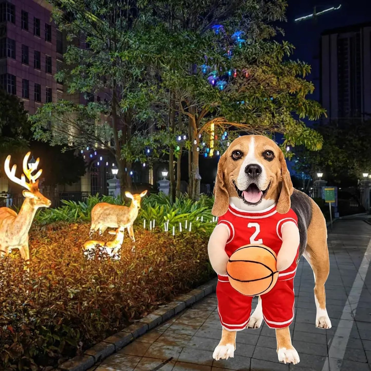 Get Your Pup in the Game with This Adorable Dog Basketball Player Costume! Perfect for Halloween and Playful Dress-Up! 🏀🐶✨