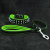 Premium Pet Guardian Gear: "Frenchie" Set- collar & leash. Green - Sanctum Paws and Fangs