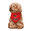 SPF Pet Decorative Triangle Scarf (red - Love is a four-legged word)