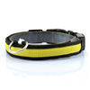 Premium Pet Guardian Gear: LED Dog Collar with Light Strip for Illumination - Sanctum Paws and Fangs