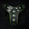 Premium Pet Guardian Gear: 'Bijou'' harness Black & Green for big dogs - Sanctum Paws and Fangs