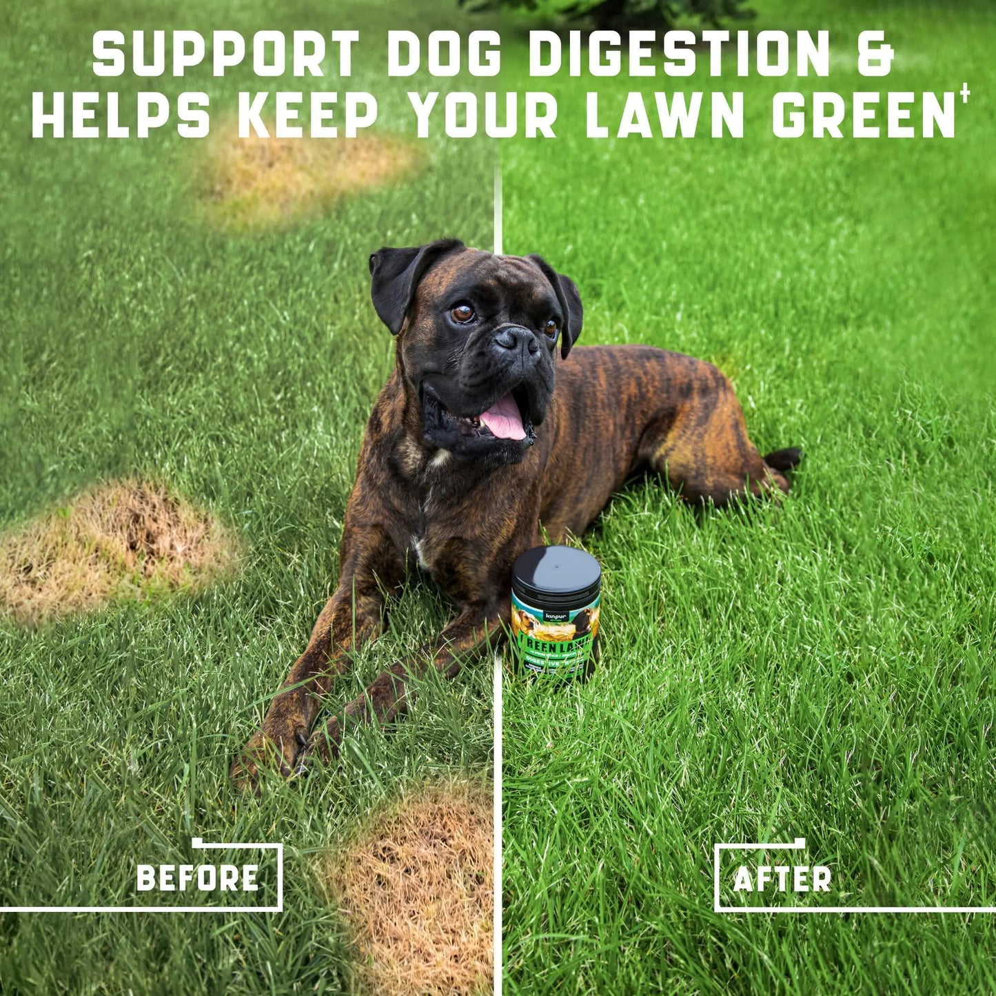Green Lawn Support Chews for Dogs