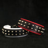 Premium Pet Guardian Gear: "Rocky" collar - Sanctum Paws and Fangs