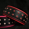 Premium Pet Guardian Gear: 'Diamond'' collar - Sanctum Paws and Fangs