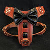 Premium Pet Guardian Gear: The "Bowtie" leather harness brown Small to Medium Size - Sanctum Paws and Fangs