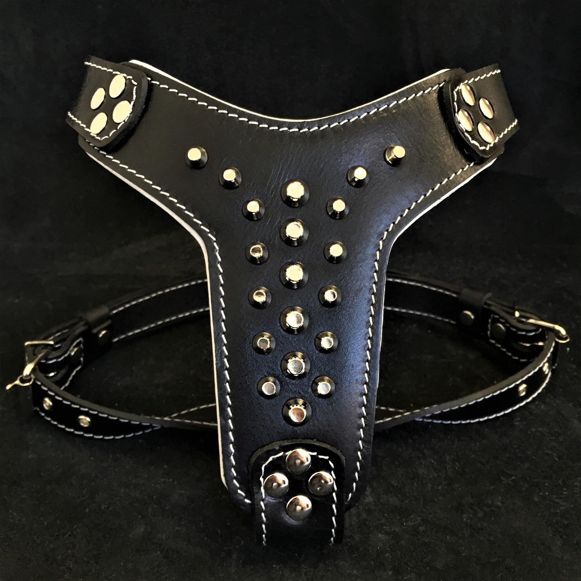 Premium Pet Guardian Gear: The "Rocky" studded leather harness Small to Medium Size - Sanctum Paws and Fangs
