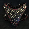 Premium Pet Guardian Gear: 'Frenchie'' studded leather harness Small to Medium Size - Sanctum Paws and Fangs