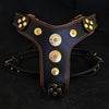 Premium Pet Guardian Gear: The ''Bijou'' harness Black & Orange Small to Medium Size - Sanctum Paws and Fangs