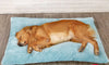 Premium Pet Guardian Gear: Long Warm Plush Dog Bed with Quilted Base - 4 Sizes - Sanctum Paws and Fangs
