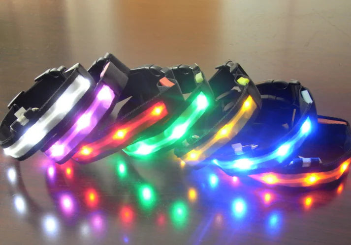 LED Dog Collar with Light Strip for Illumination