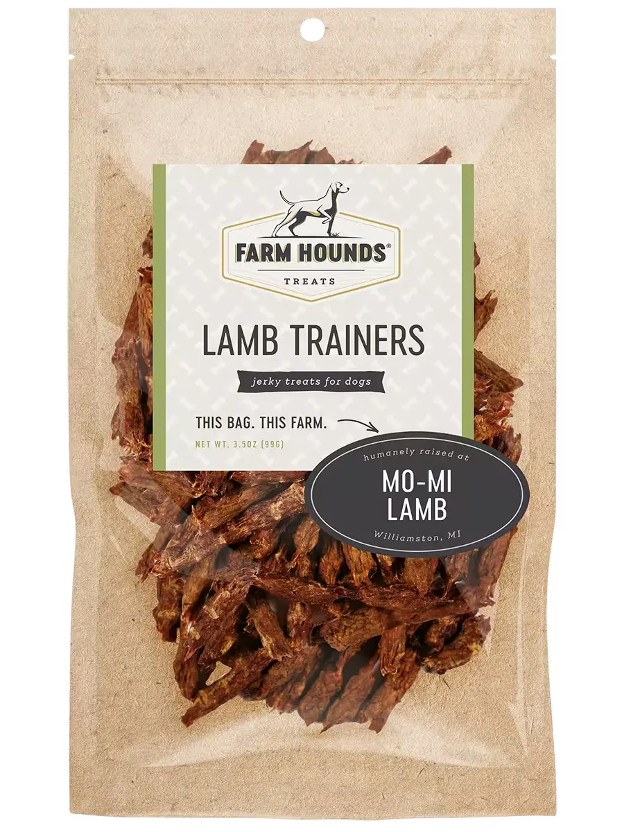 Lamb Trainers