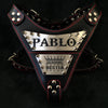 Premium Pet Guardian Gear: The "Metal" harness- Personalized! - Sanctum Paws and Fangs