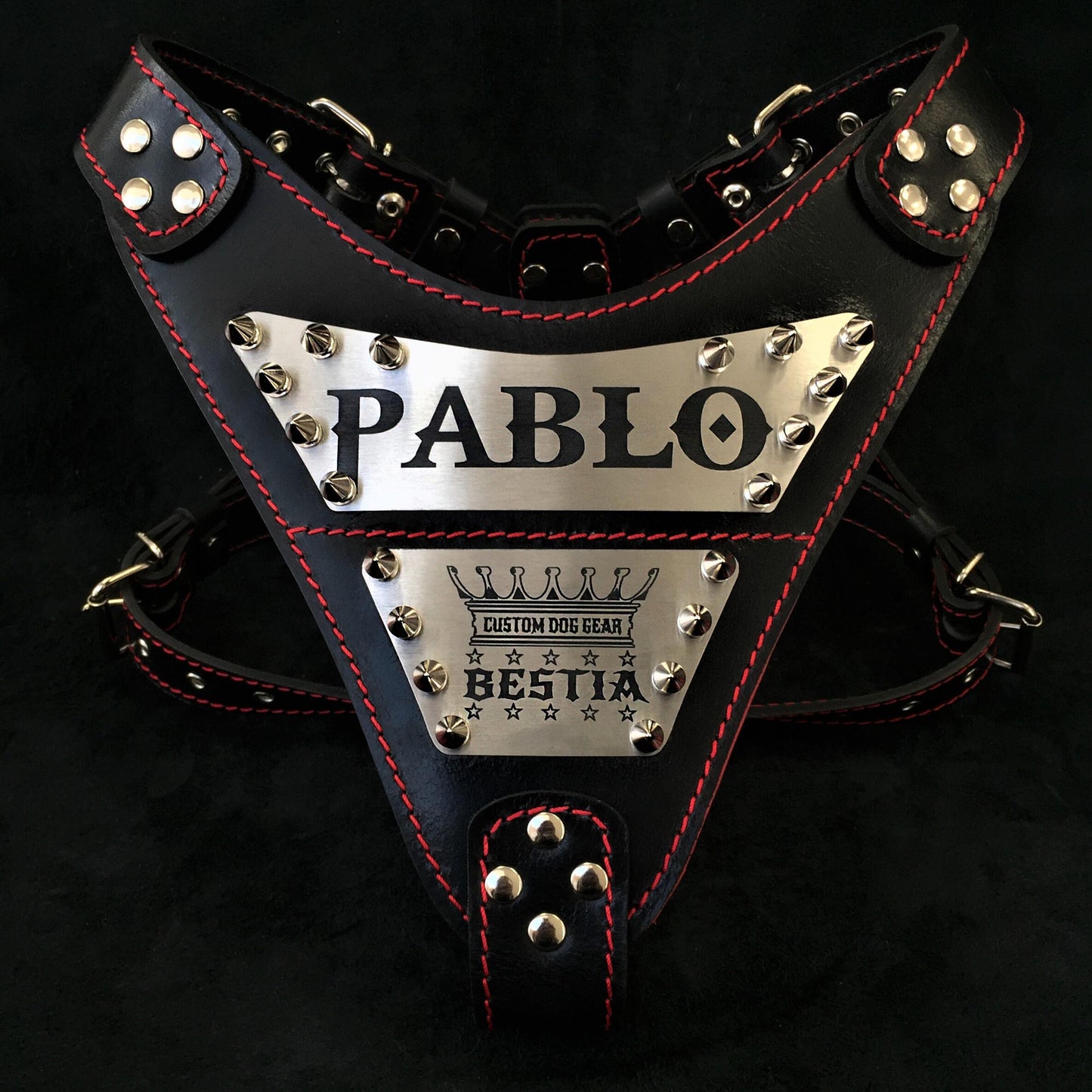 Premium Pet Guardian Gear: The "Metal" harness- Personalized! - Sanctum Paws and Fangs