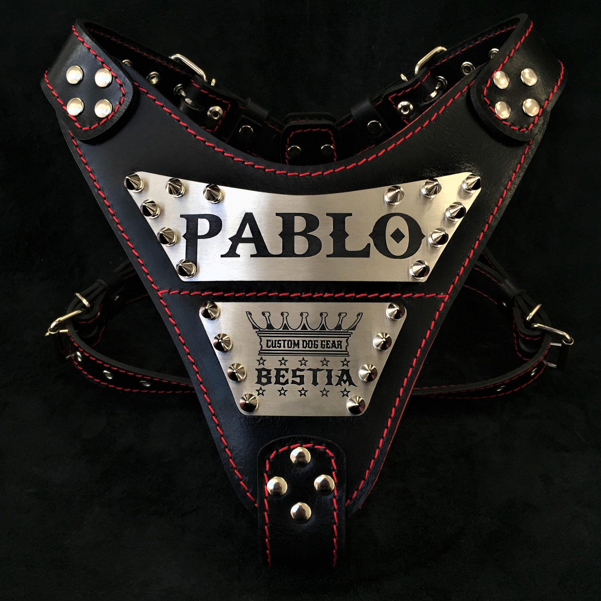 Premium Pet Guardian Gear: The "Metal" harness- Personalized! - Sanctum Paws and Fangs