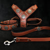 Premium Pet Guardian Gear: "Maximus Silver" BIG dog SET- Harness - collar - lead. Brown - Sanctum Paws and Fangs