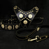 Premium Pet Guardian Gear: "Maximus Black" BIG dog SET- Harness - collar - lead. Brass rivets - Sanctum Paws and Fangs