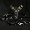 Premium Pet Guardian Gear: "Maximus Silver" BIG dog SET- Harness - collar - lead. Black - Sanctum Paws and Fangs