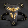 Premium Pet Guardian Gear: 'Midas'' leather dog harness gold medium size - Sanctum Paws and Fangs