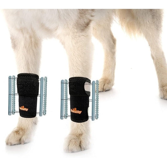 NeoAlly 3-in-1 Front Leg Dog Splint Brace: Rigid & Spring Inserts, Safety Reflective Straps (Pair)