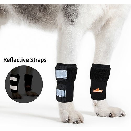 NeoAlly Dog Front Leg Braces: Enhance Safety with Reflective Straps (Pair)