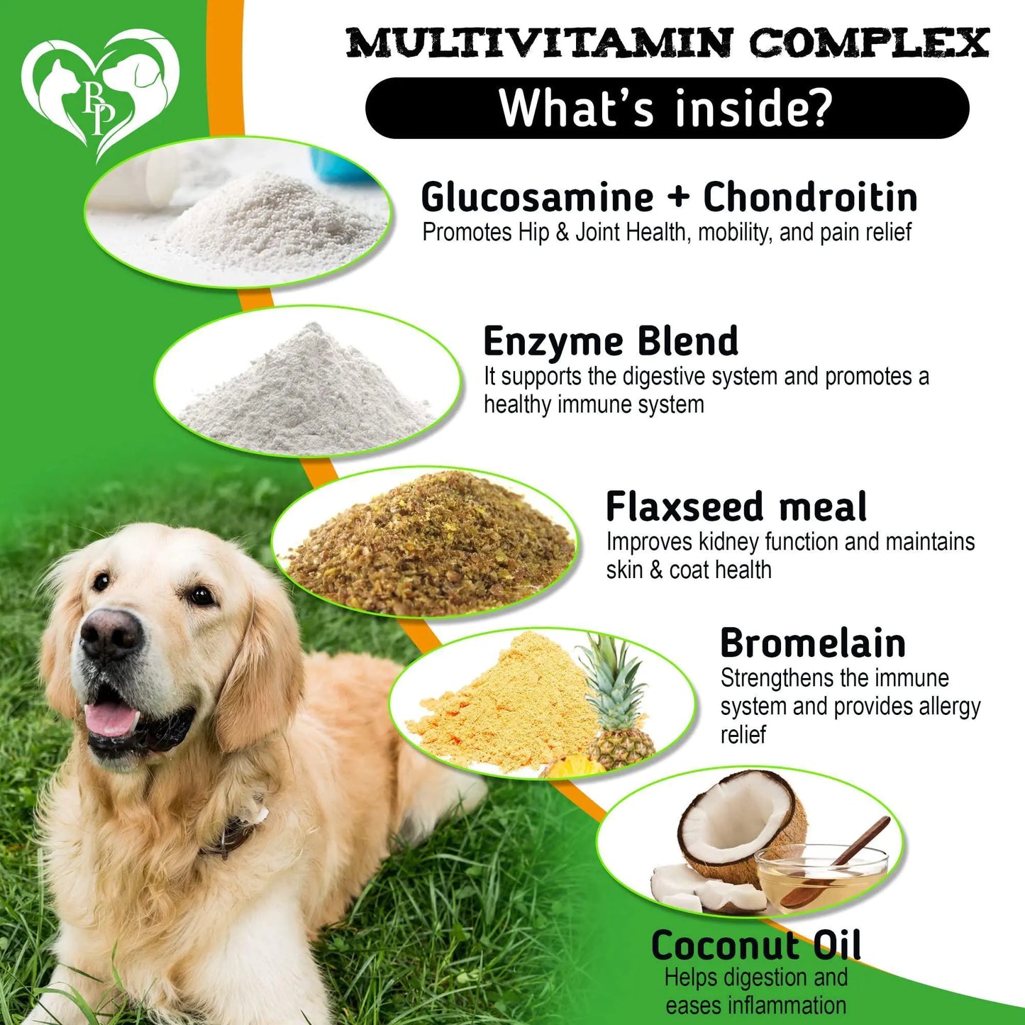 Dog Flea & Tick Defense Chews with Multivitamin Boost