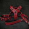 Premium Pet Guardian Gear: "EROS" BIG dog SET- Harness - collar - lead. Red - Sanctum Paws and Fangs