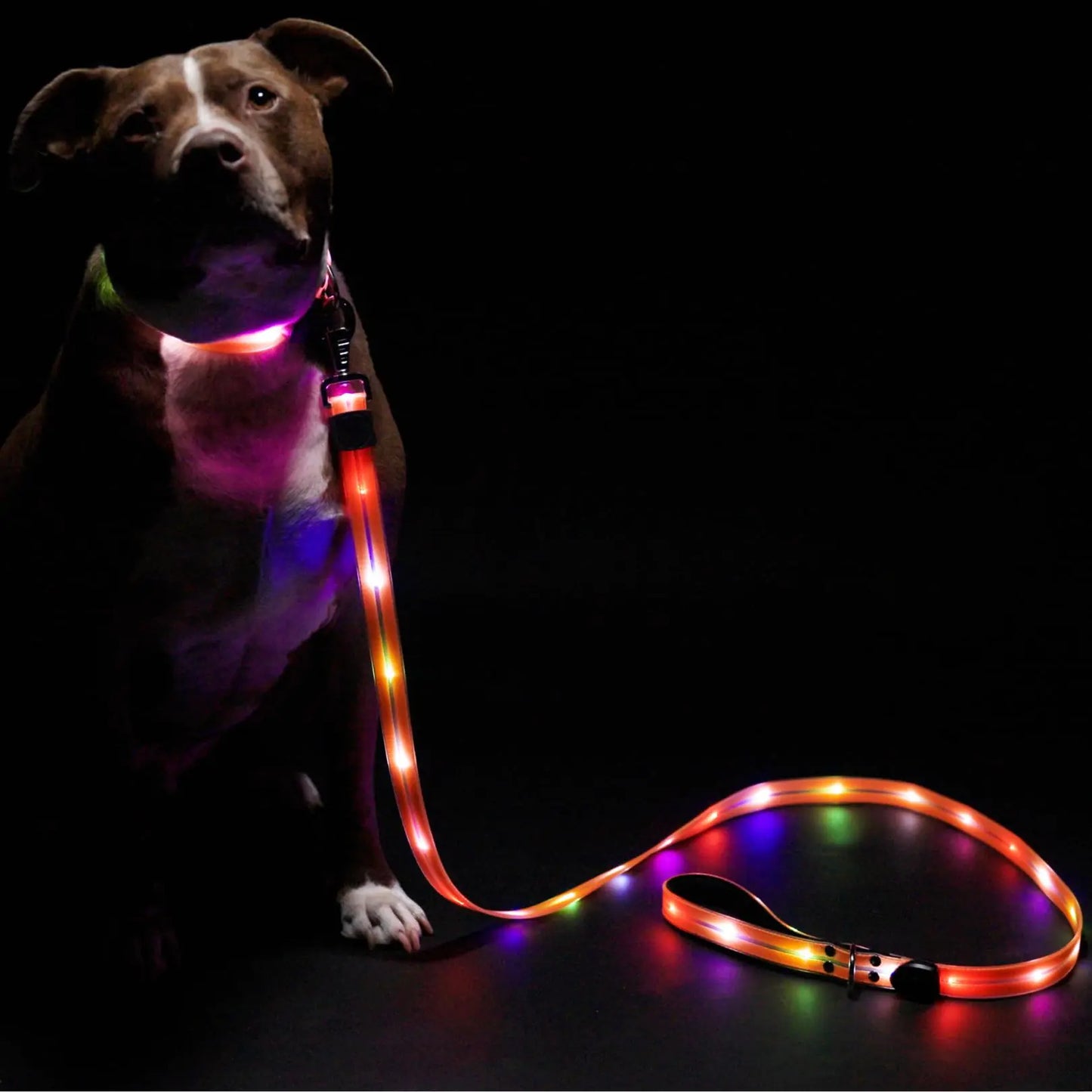 LED Dog Leash for Safe & Peaceful Evening Walks - High Visibility Light Up Dog Leash LED - Lighted Dog Leash - Light Up Leash - Dog Leash with LED Light - 6 Foot Dog Leash with Light New Version!